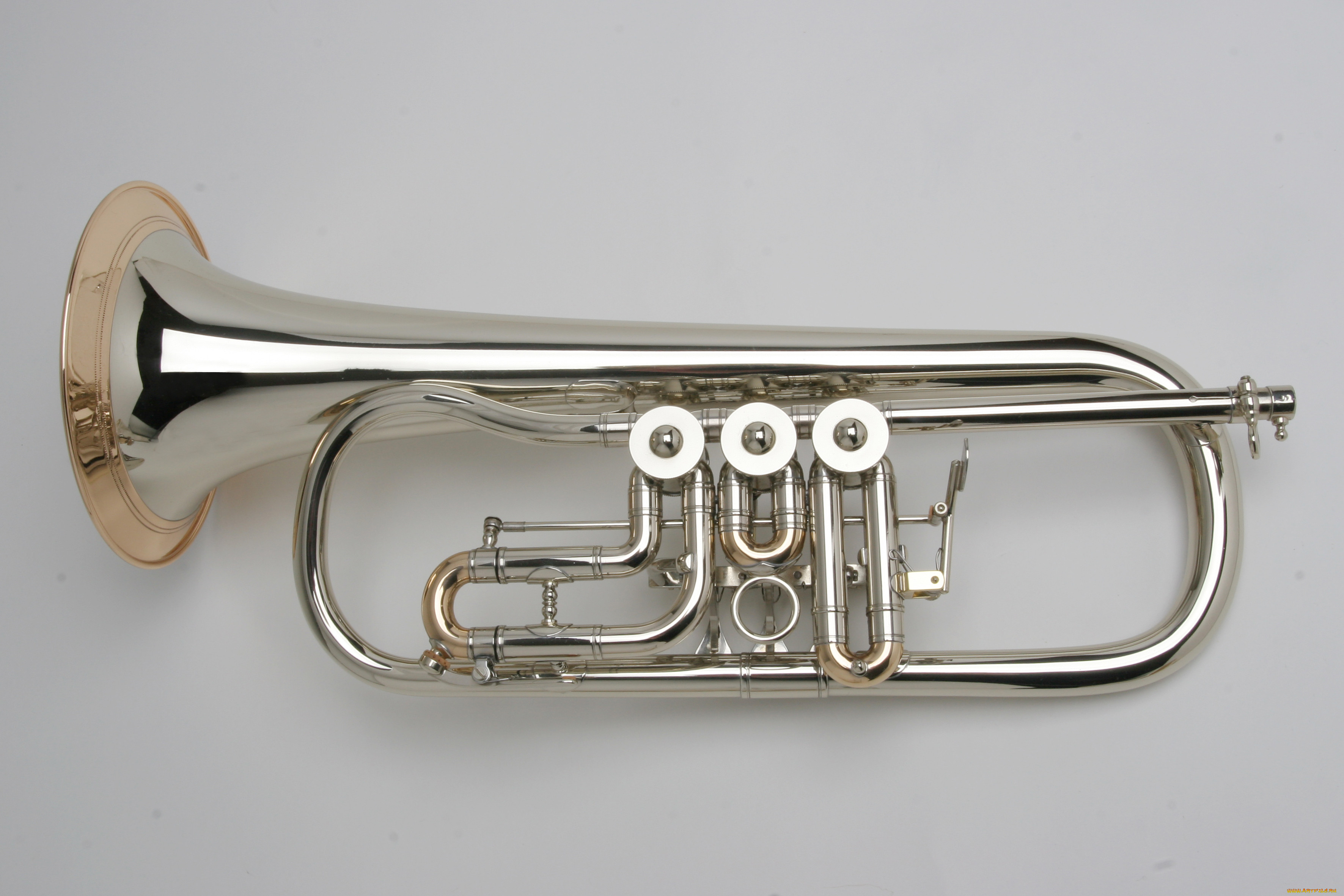 Звук музыкальной трубы. Труба помповая духовой инструмент. Труба музыкальный инструмент вид сбоку. Bach b188 - труба-бас. Педальная труба духовой инструмент.